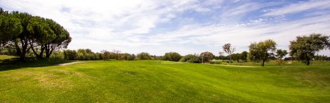 Rooster Run Golf Club in Petaluma, CA