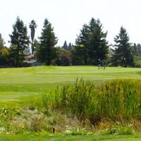 Foxtail North Course