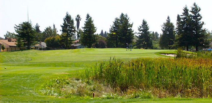 Foxtail North Course