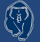 bear logo