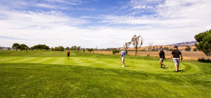 players-on-the-green-rooster-run