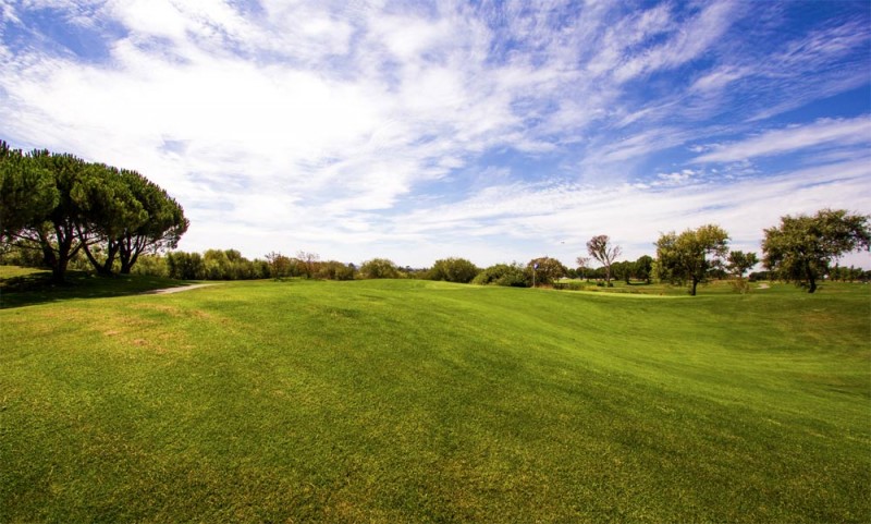 rooster-run-golf-course-petaluma